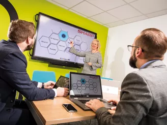 Lady delivering presentation to colleagues