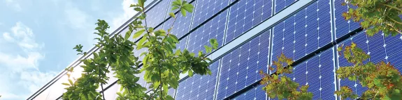 Trees in front of a building with solar panels