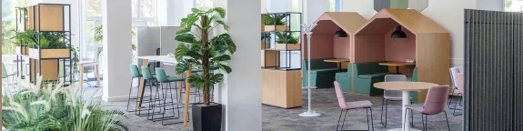 Modern office space with plants and meetings pods