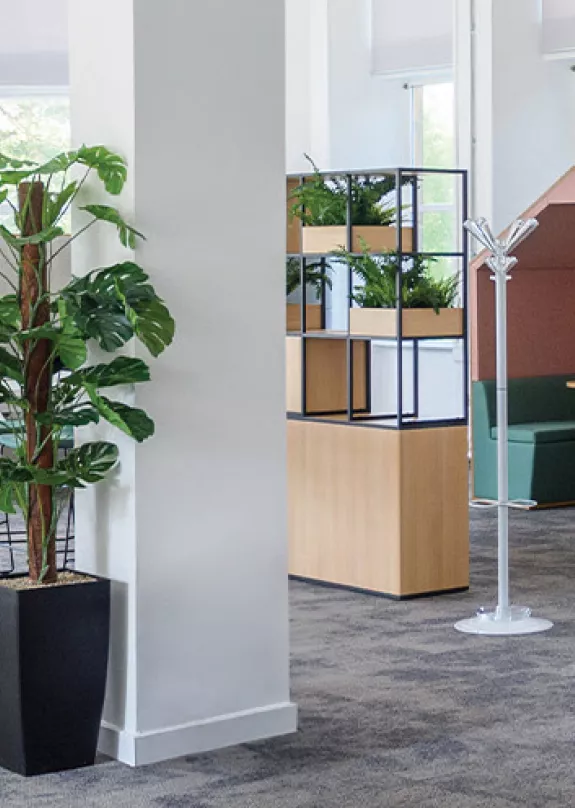 Modern office space with plants and meetings pods