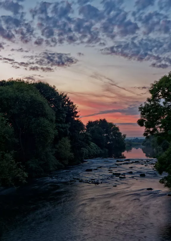 River surrounding by trees