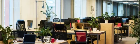 biophilic design in the workplace